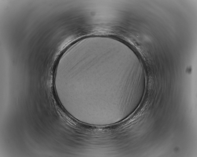 X0000098191459200805151153