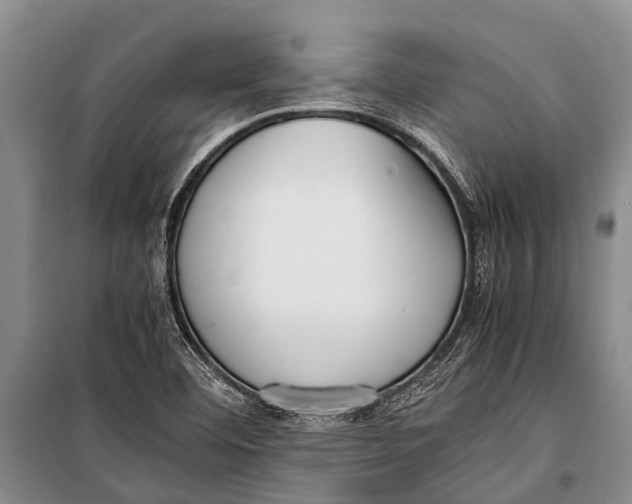 X0000098191460200805151153
