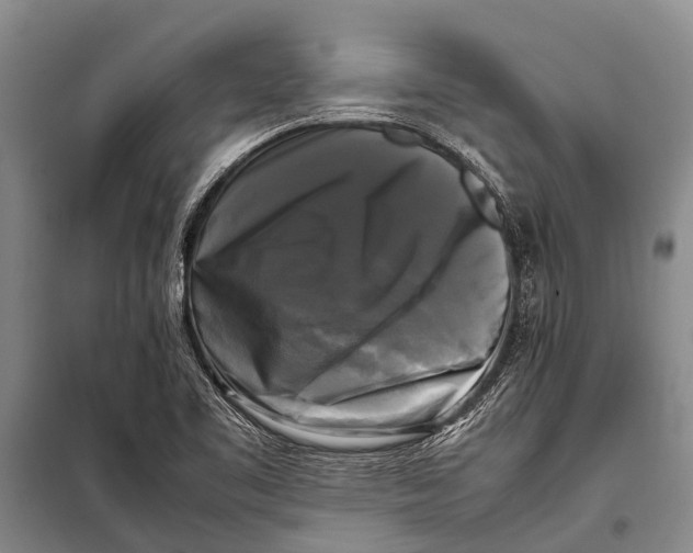 X0000098191461200805151153
