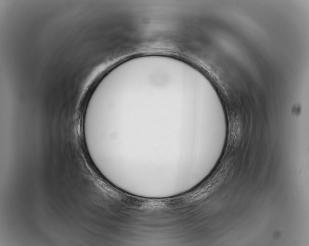 X0000098191462200805151153