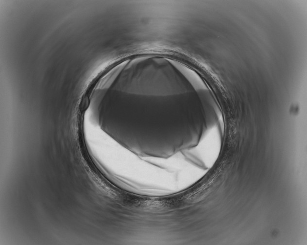 X0000098191463200805151153