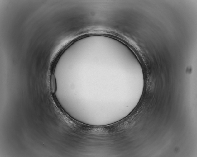 X0000098191464200805151153