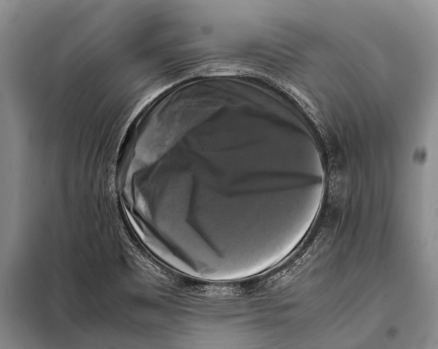 X0000098191465200805151153