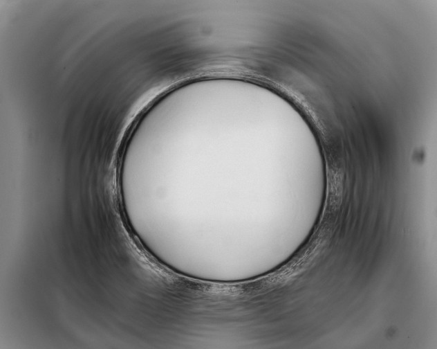 X0000098191466200805151153