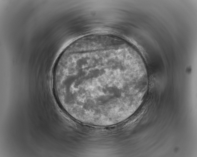 X0000098191467200805151152