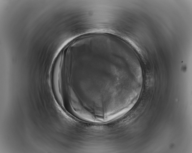 X0000098191468200805151152