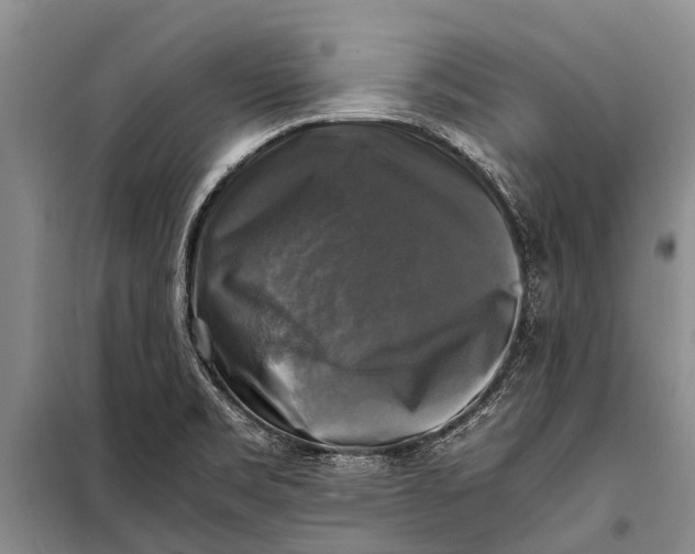 X0000098191469200805151152