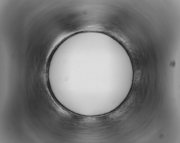 X0000098191470200805151152