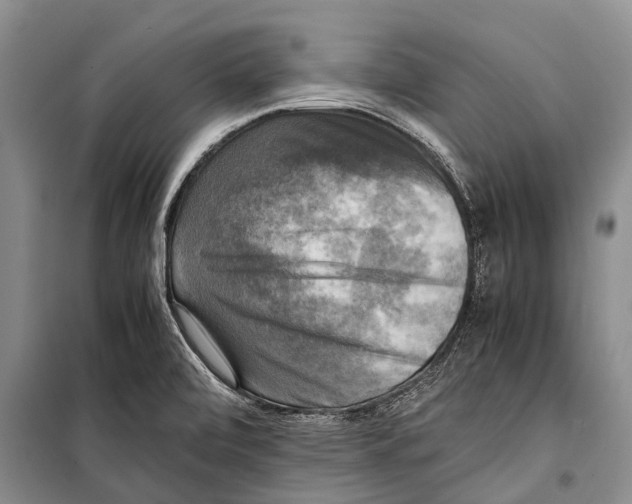 X0000098191472200805151152
