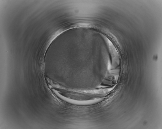 X0000098191473200805151152