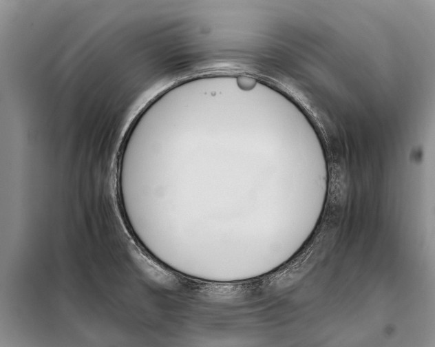 X0000098191474200805151152