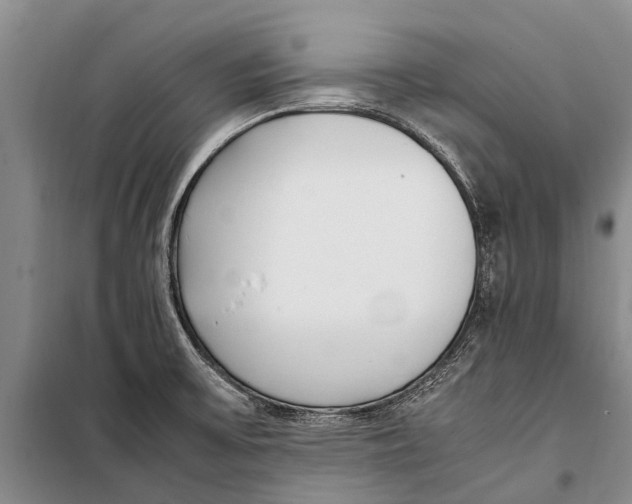 X0000098191475200805151152