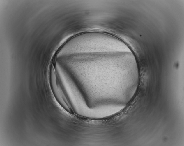 X0000098191476200805151152