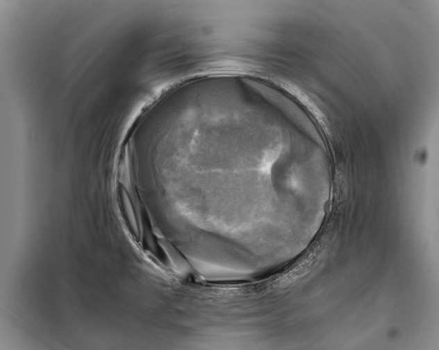 X0000098191477200805151152