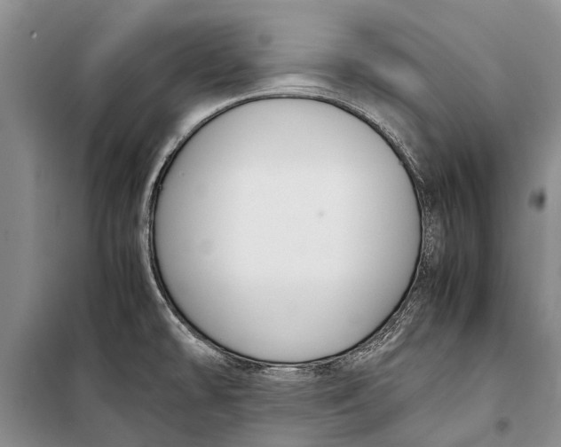 X0000098191478200805151152