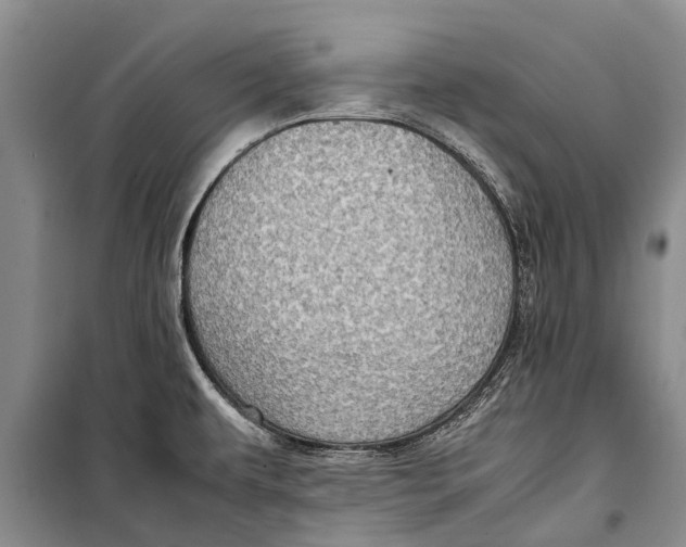 X0000098191479200805151152
