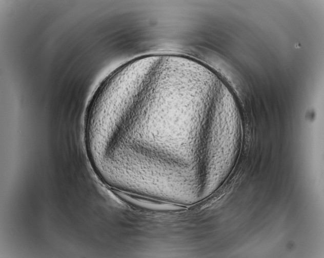 X0000098191480200805151152