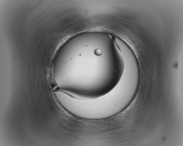 X0000098191481200805151152