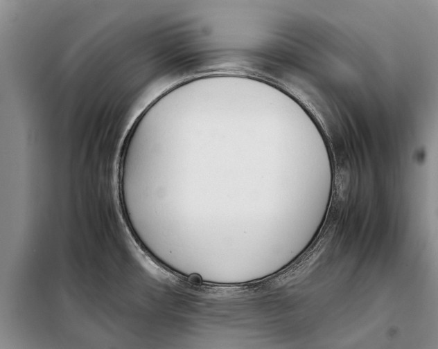 X0000098191482200805151152