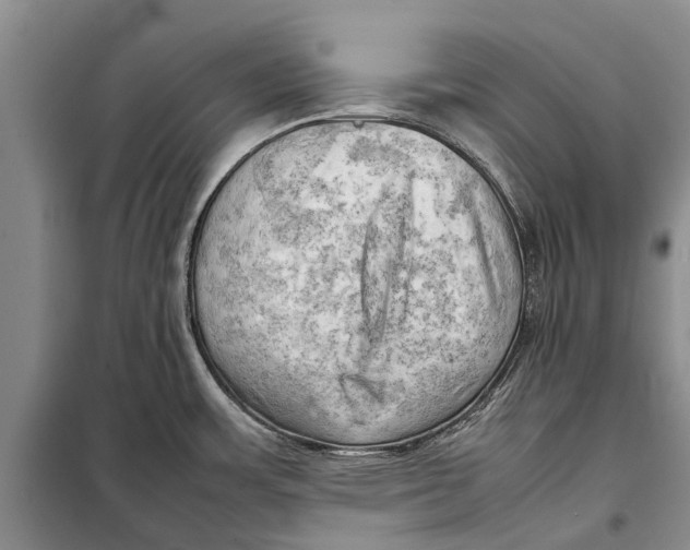 X0000098191483200805151152