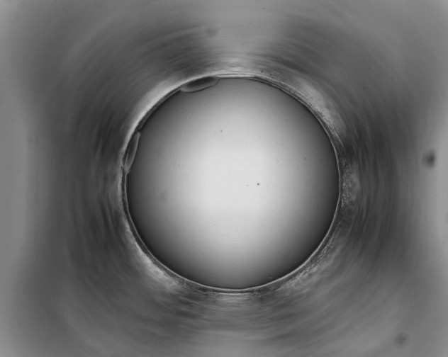 X0000098191484200805151152