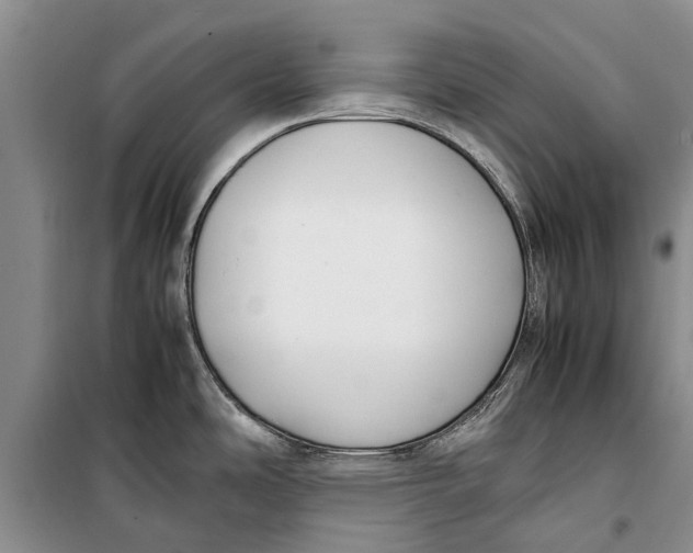 X0000098191486200805151152