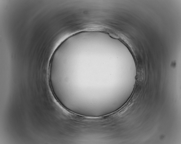 X0000098191487200805151152