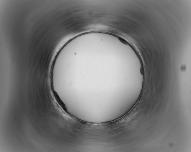 X0000098191488200805151152