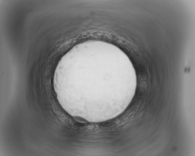 X0000098191489200805151151
