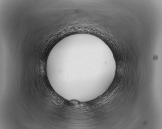 X0000098191490200805151151