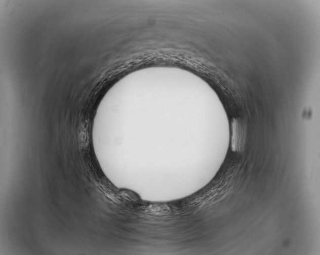 X0000098191491200805151151