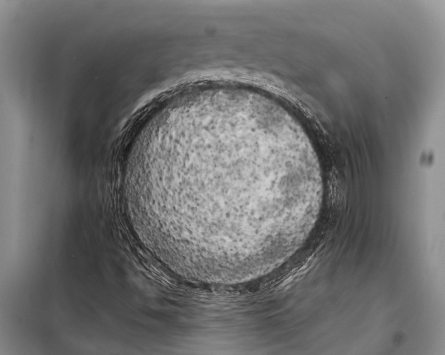 X0000098191494200805151151