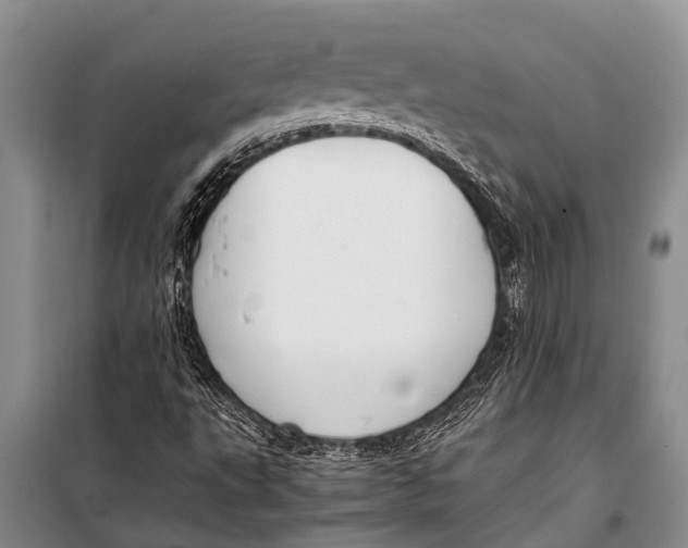 X0000098191495200805151151