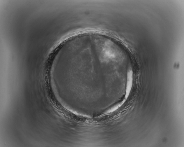 X0000098191496200805151151