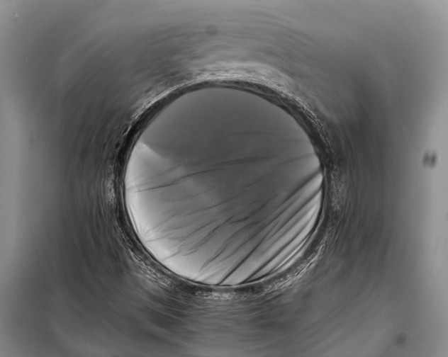 X0000098191497200805151151