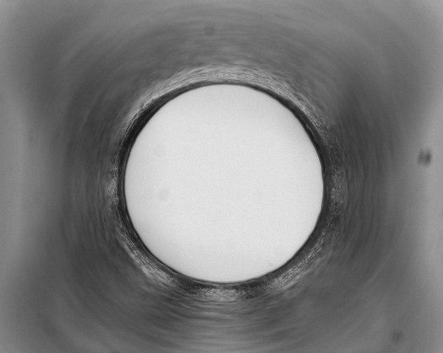 X0000098191499200805151151