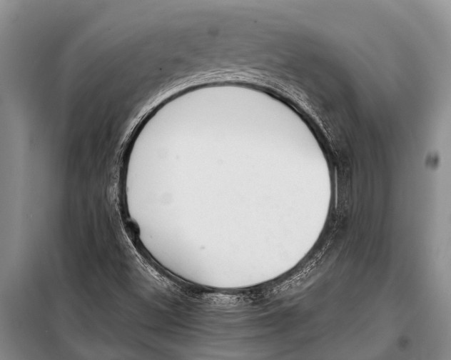 X0000098191500200805151151