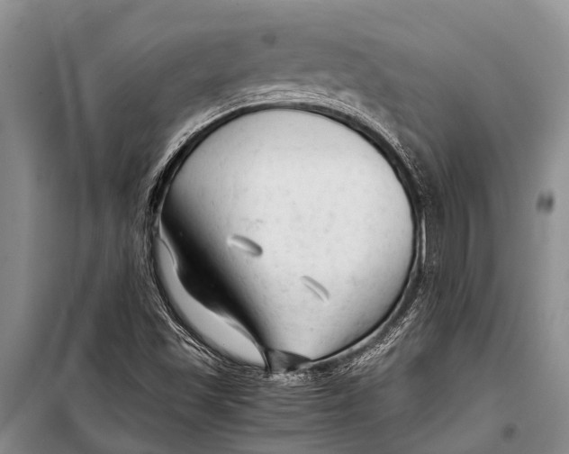 X0000098191501200805151151