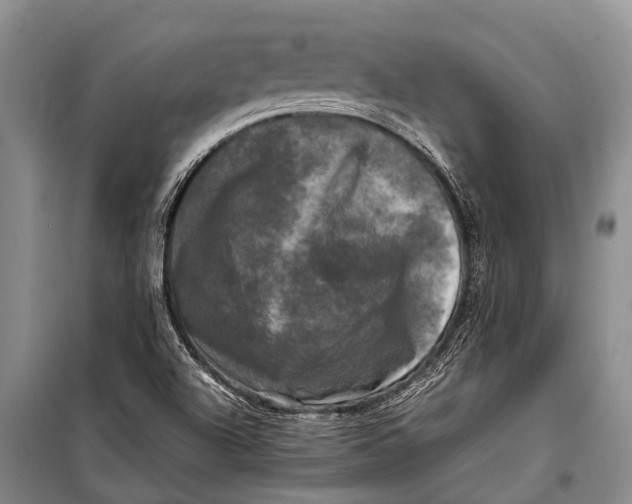 X0000098191504200805151152