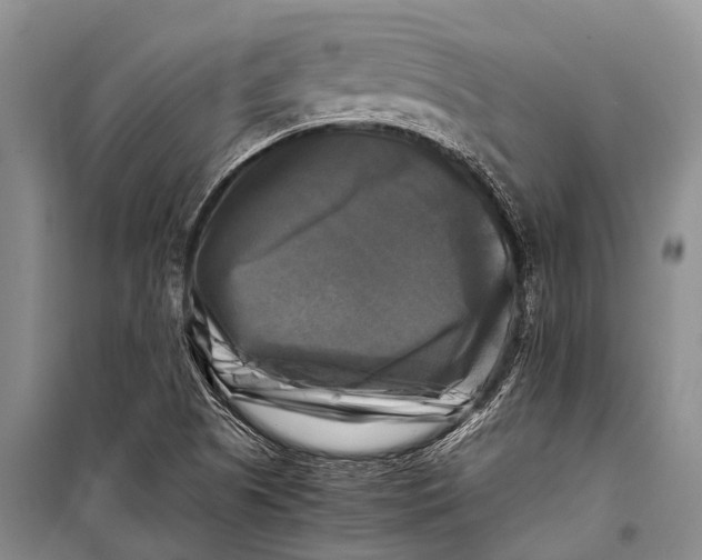 X0000098191505200805151152