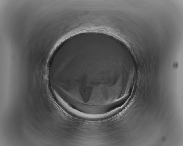X0000098191506200805151152