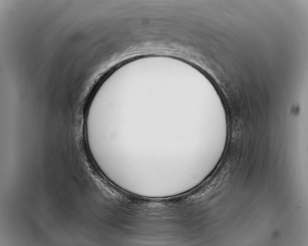 X0000098191507200805151152