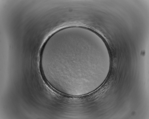 X0000098191508200805151152