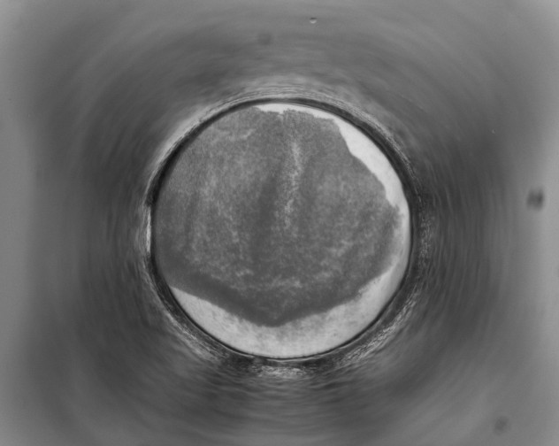 X0000098191509200805151152