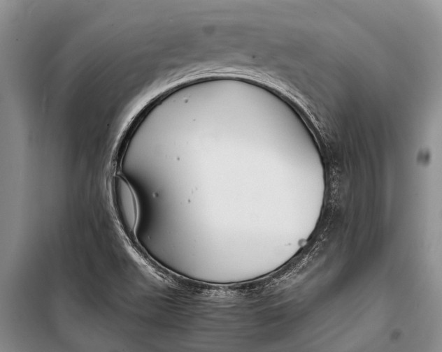 X0000098191511200805151152