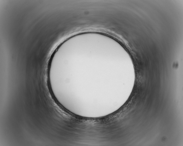 X0000098191512200805151152