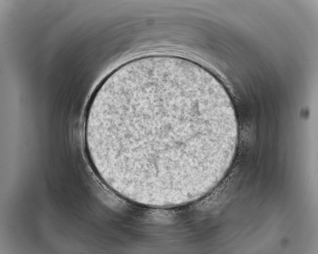 X0000098191514200805151152
