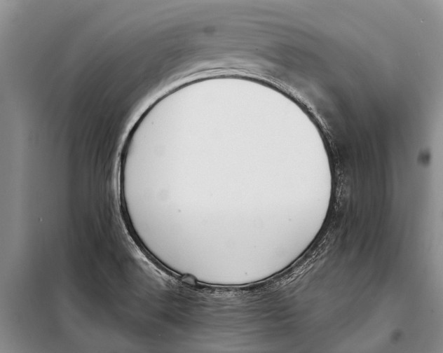 X0000098191516200805151152