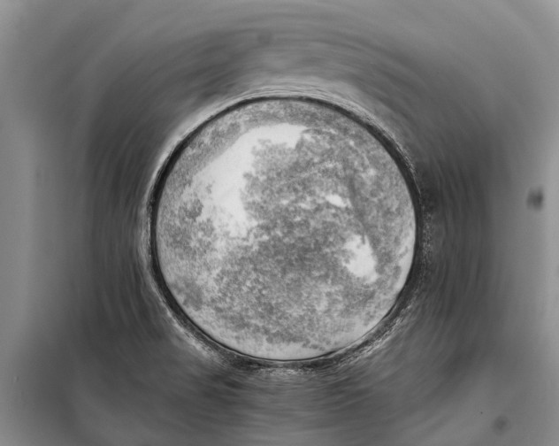 X0000098191517200805151152