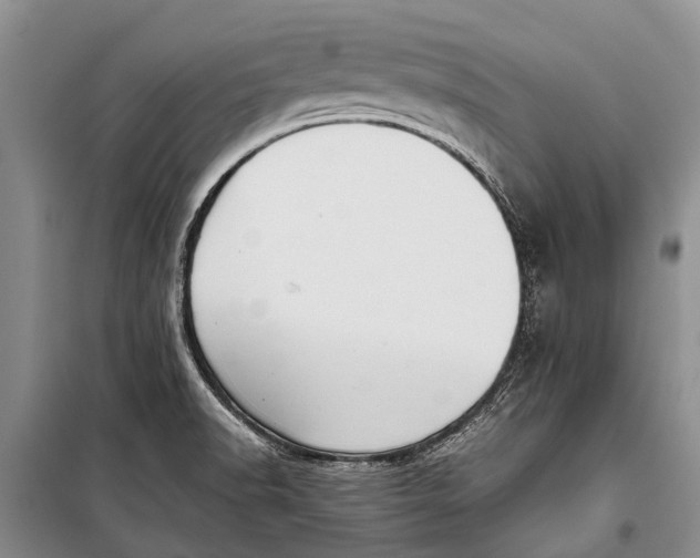 X0000098191518200805151152